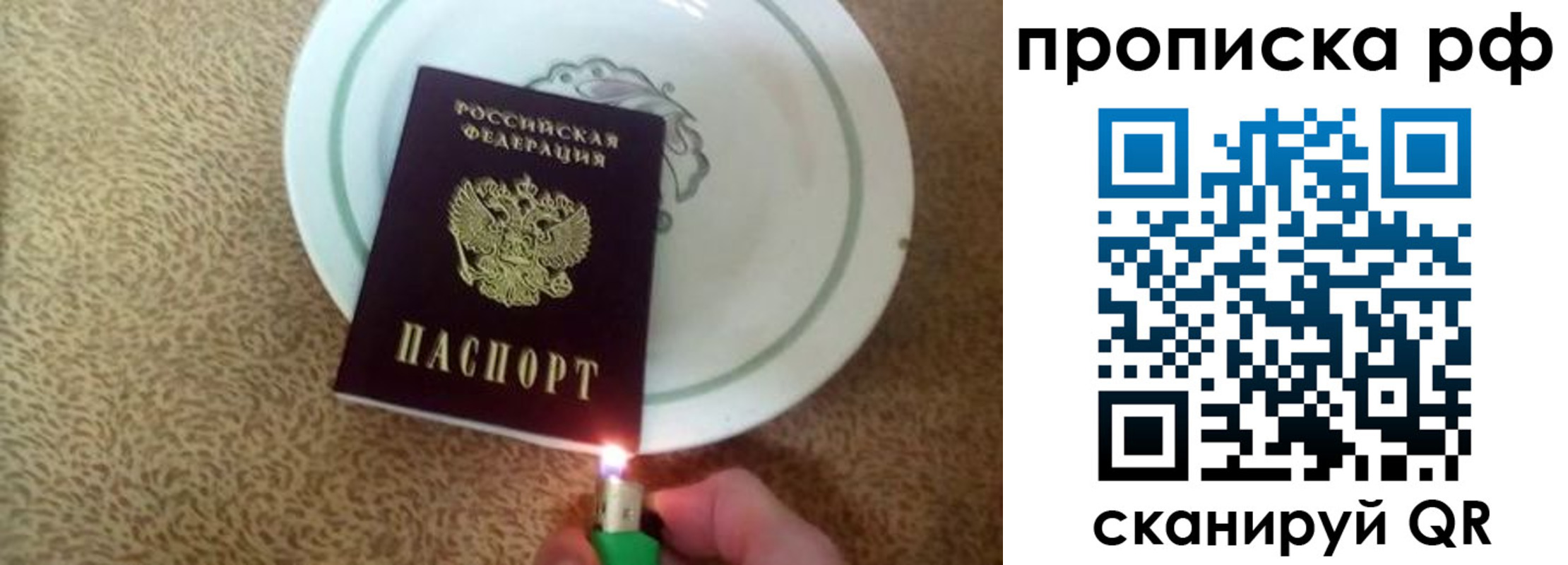 прописка в квартире в Бабаево